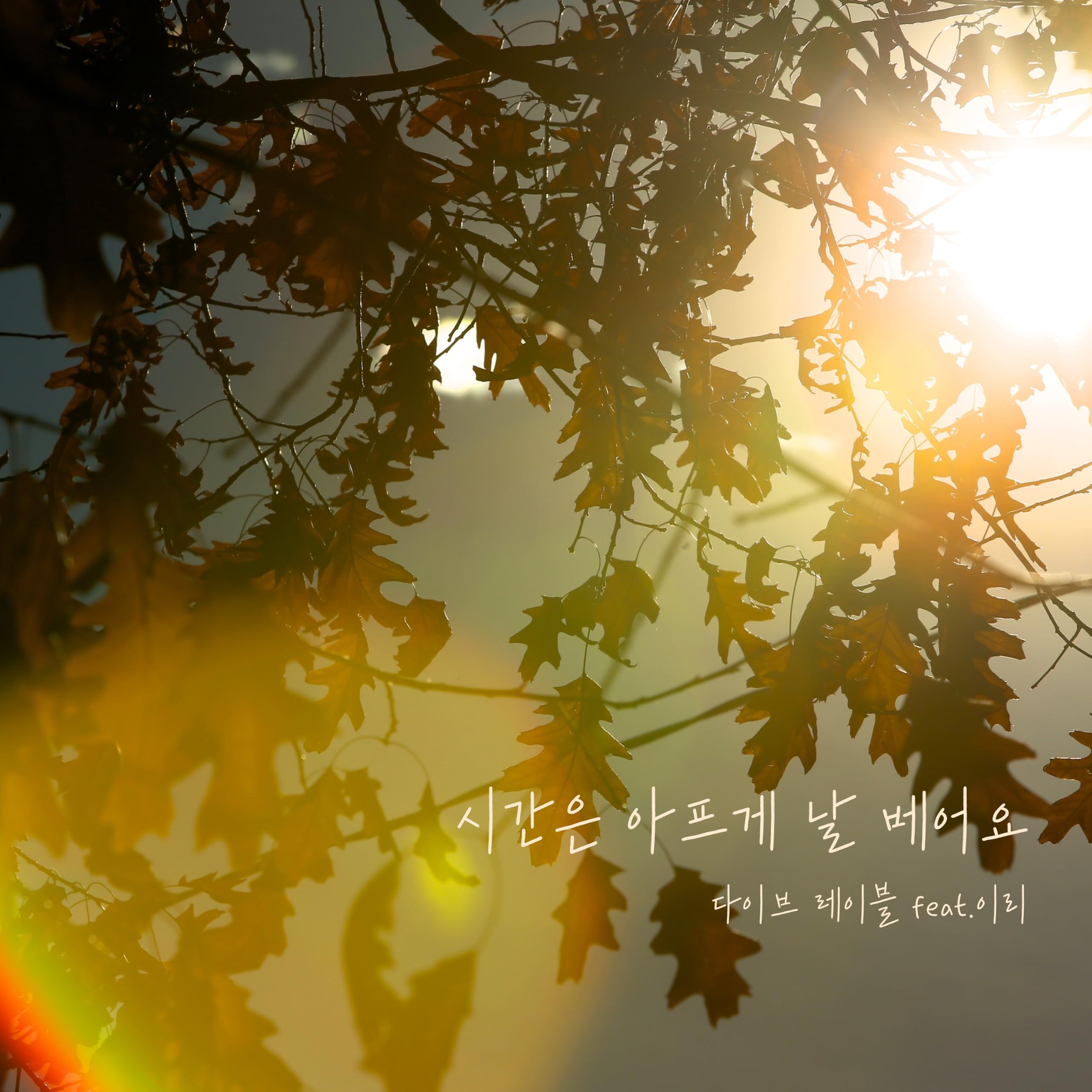 Image Cover